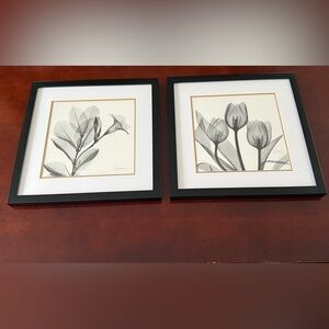 Black Framed Botanical Art Prints